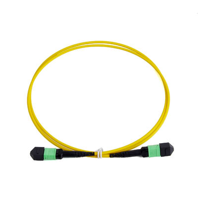 Singlemod G657A1 MPO to MPO Fiber Optic Patch Cord