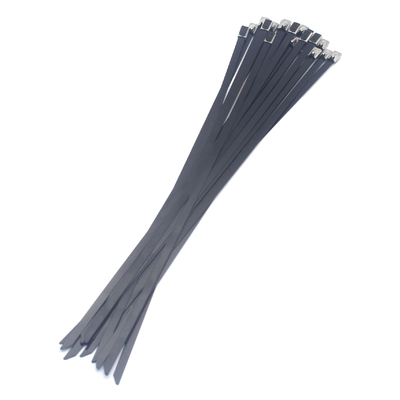 100 stuks per zak UV-bestendige polyester epoxy nylon 11 bedekte roestvrijstalen kabelbanden