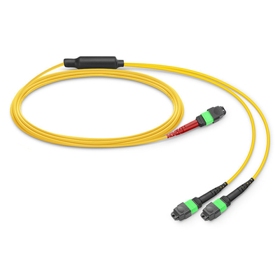 24 Core Mtp Patch Cable Mpo Fiber Patch Cable SM OS2 met LSZH Out Jacket
