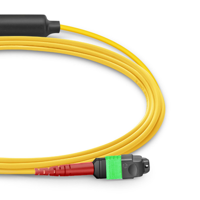 24 Core Mtp Patch Cable Mpo Fiber Patch Cable SM OS2 met LSZH Out Jacket