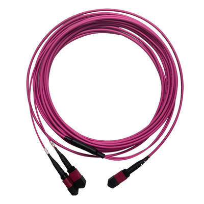 50/125 OM4 MM MPO Patch Cord 24F 3,0 mm PVC High Density Multimode