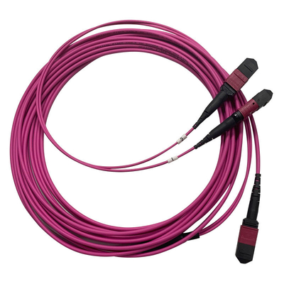 50/125 OM4 MM MPO Patch Cord 24F 3,0 mm PVC High Density Multimode