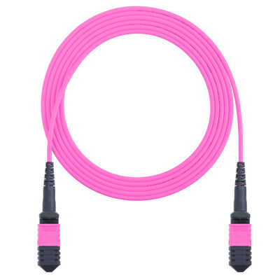 8 kernen 12 kernen MPO OM4 Fiber Optic Patch Cord